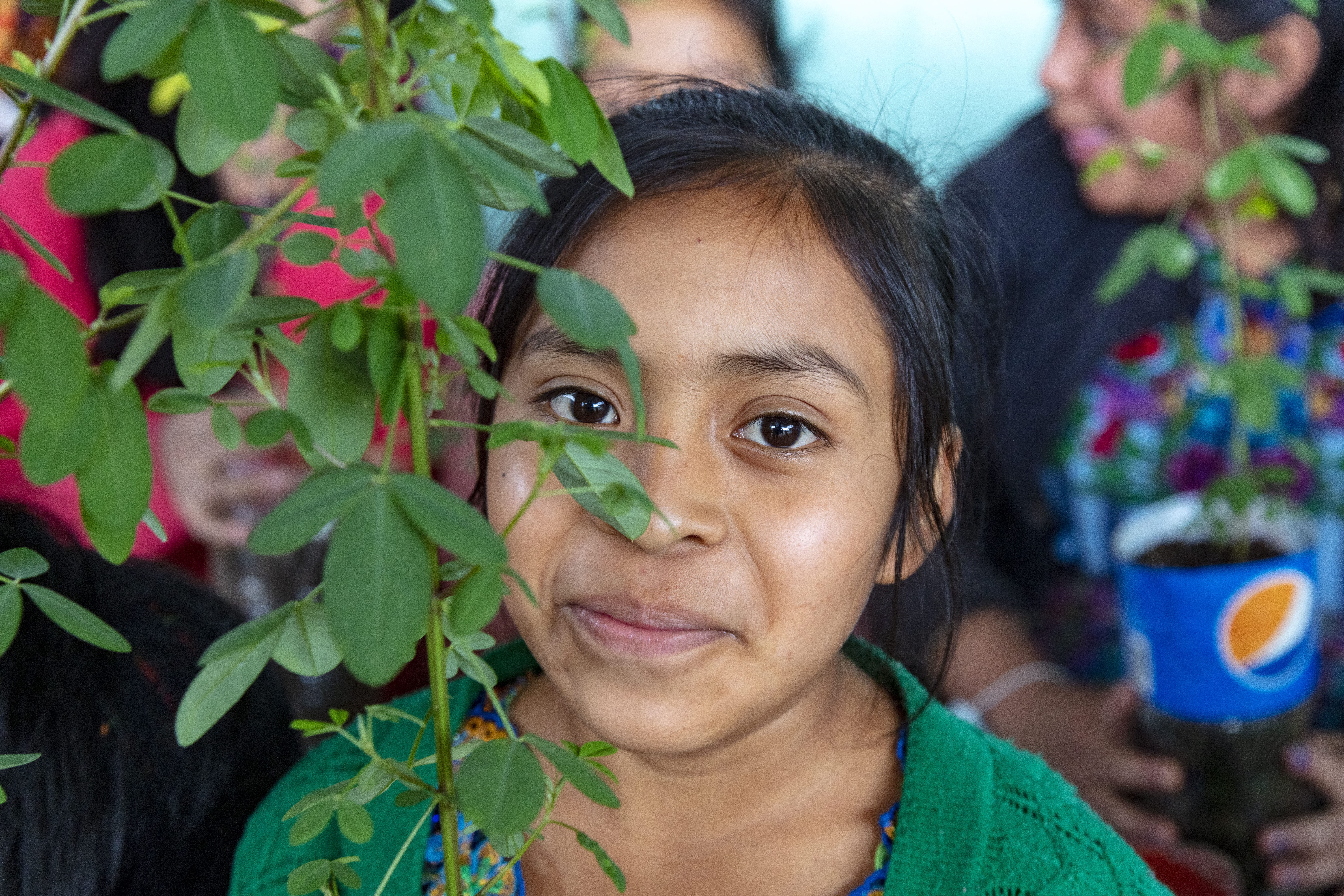 Cosechando la esperanza en Centroamérica: los programas de nutrición escolar que abordan la inseguridad alimentaria